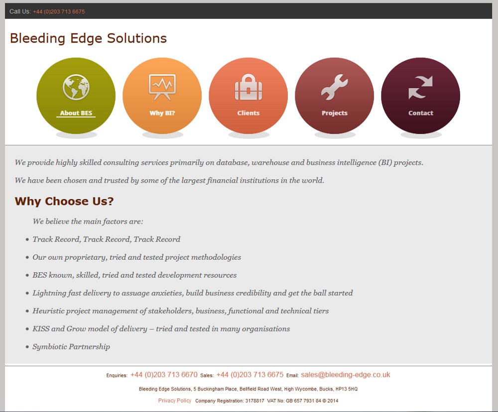 Bleeding Edge Solutions home page image